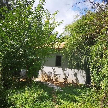 Villa Griseor Porto Vecchio Exterior foto