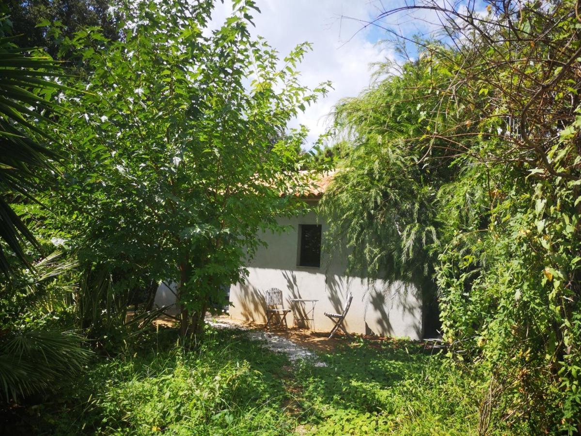 Villa Griseor Porto Vecchio Exterior foto