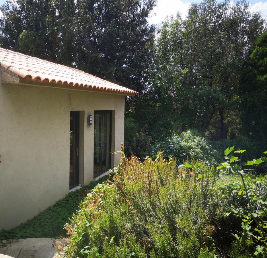 Villa Griseor Porto Vecchio Exterior foto